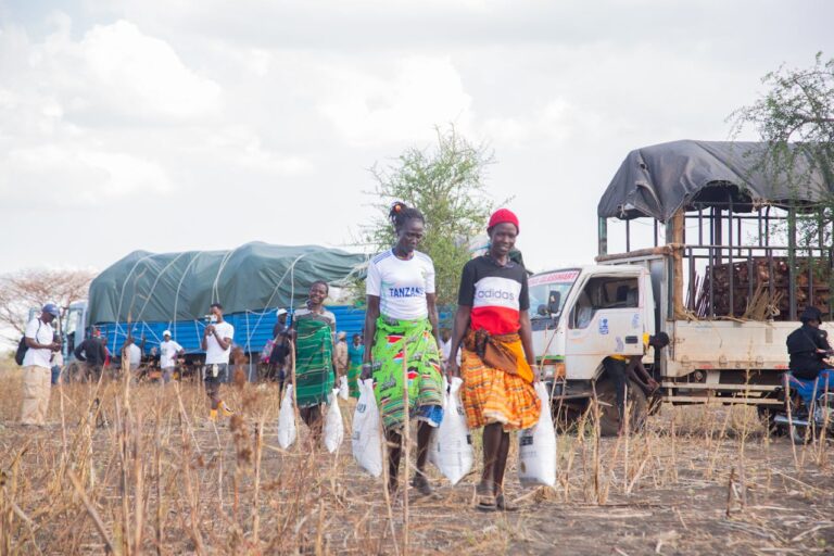 pexels photo 33749791.jpeg